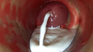 Porn Gay Box 4